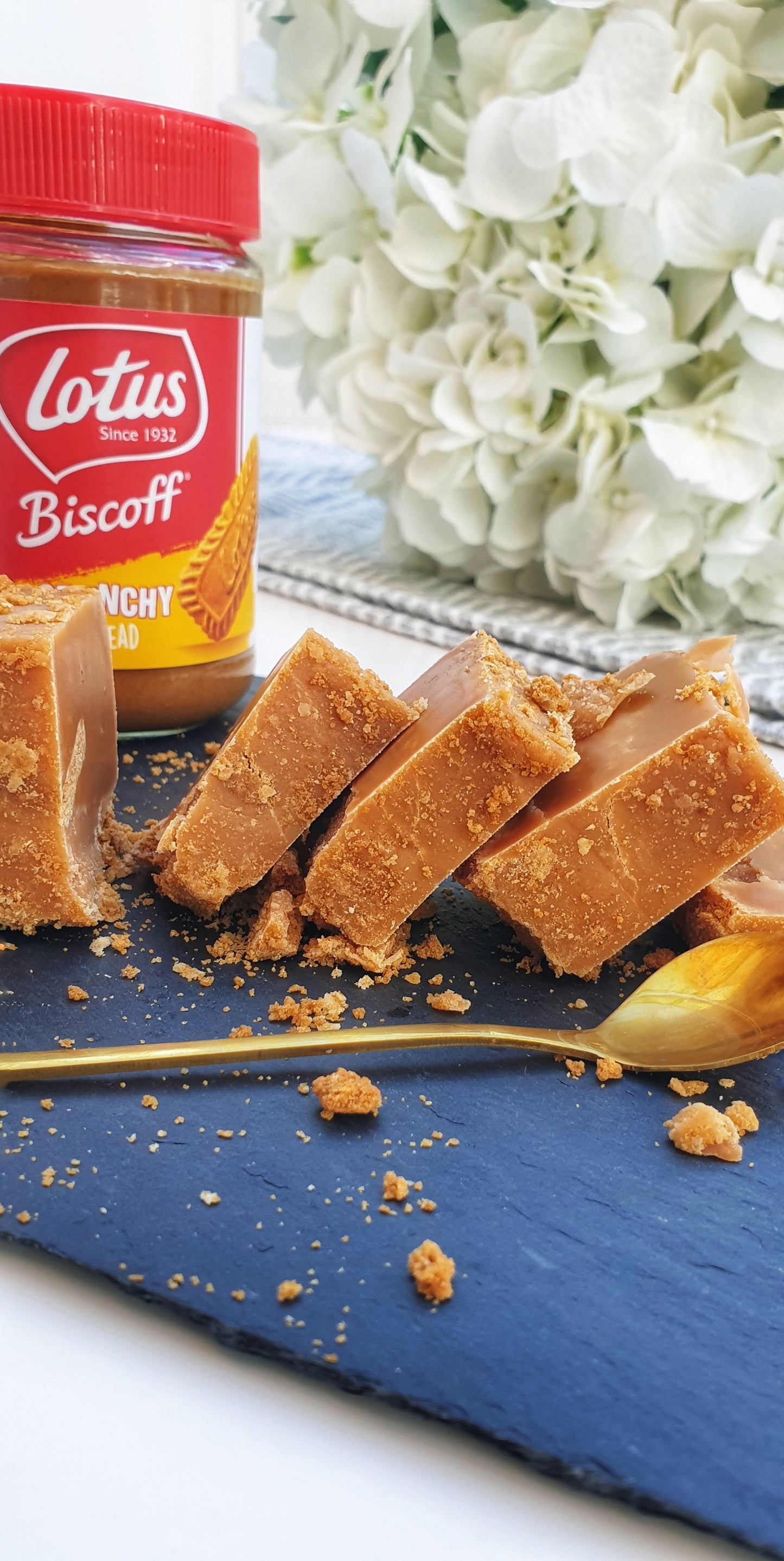 Biscoff Fudge